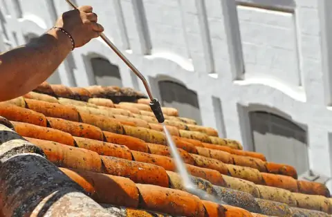 Démoussage de toiture à Berson